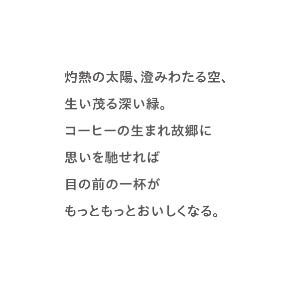 灼熱の太陽、澄みわたる空、生い茂る深い緑。コーヒーの生まれ故郷に思いを馳せれば目の前の一杯がもっともっとおいしくなる。