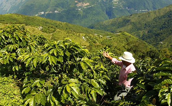 生産風景
